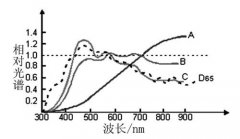 什么是標(biāo)準光源？標(biāo)準光源定義